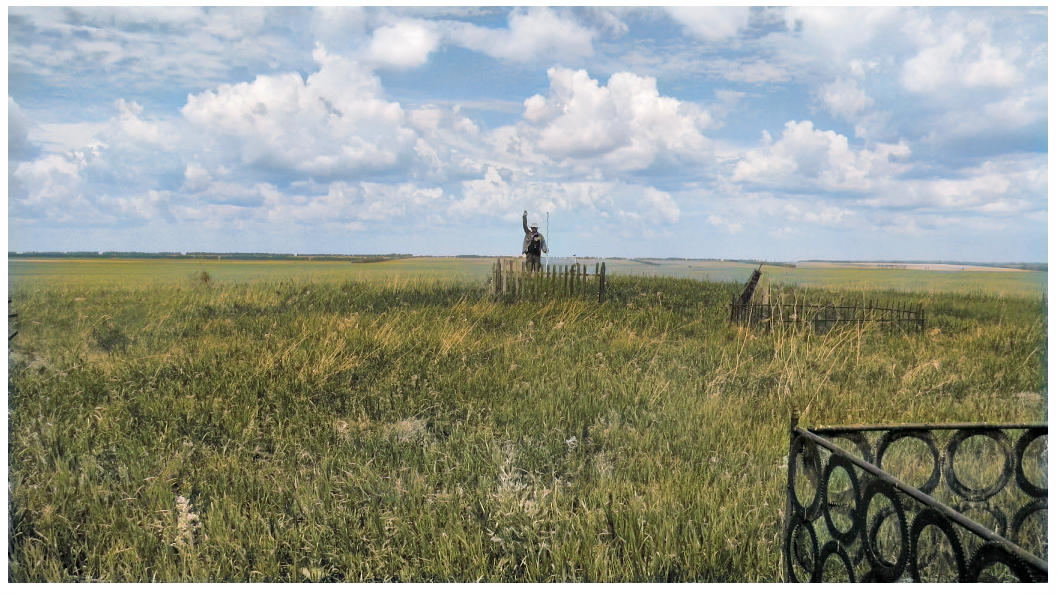 Рис. 2. Объект археологического наследия «Новокалманка 3, одиночный курган». Вид с юга. Фото А. Н. Телегина.