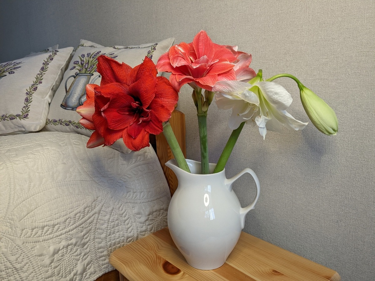 То самое покрывало