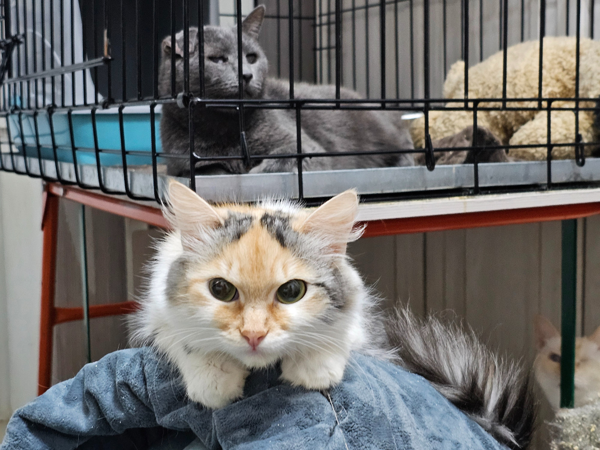 Фото автора. Фасолька и слепой Серёга.