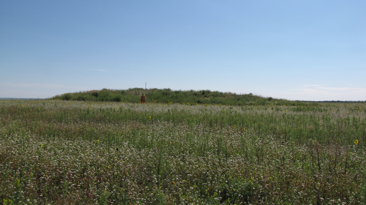 Рис. 1. Хлопуново 2, курганная группа. Вид на курган № 1. Фото А. Н. Телегина.