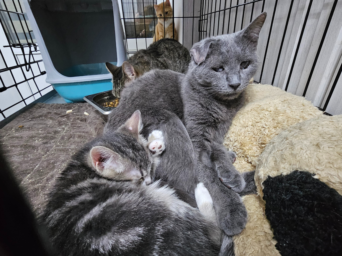 Фото автора. Ребята.