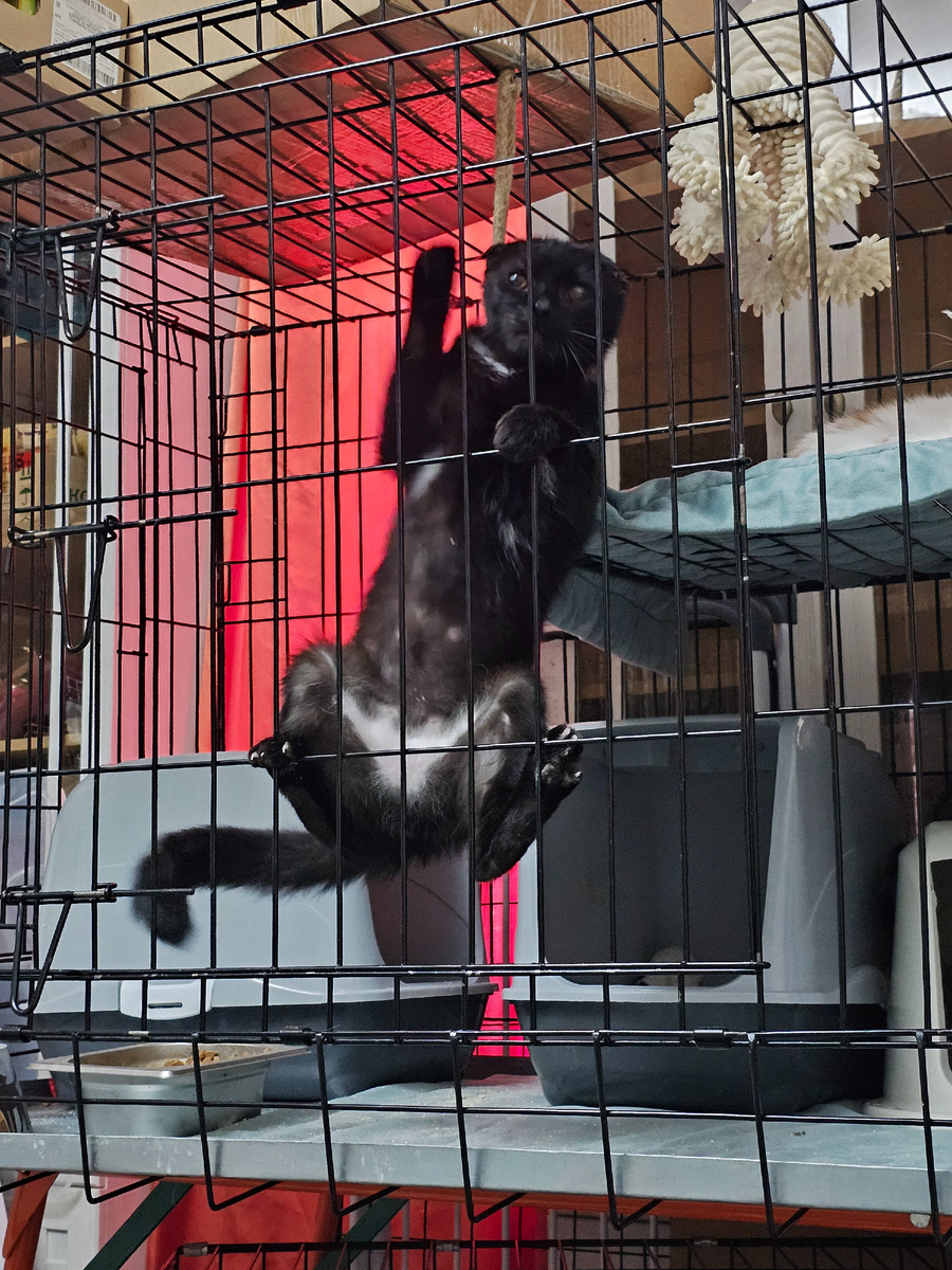 Фото автора. Космос.