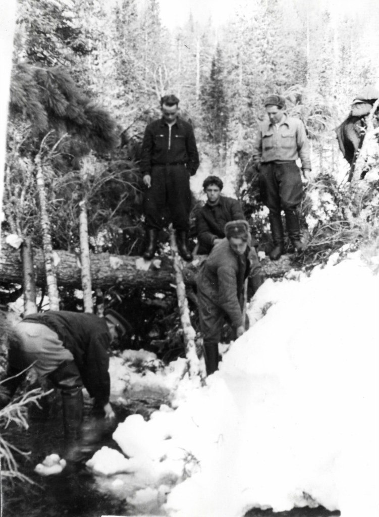 За спиной у ребят прекрасный густой лес. А вы говорите; дров не было. Из открытого доступа.