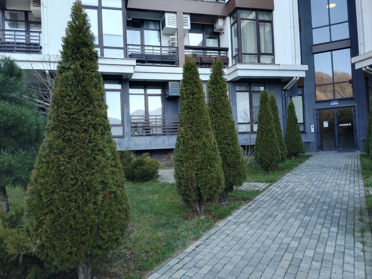 Формирую туи, изгороди, цветники и прочие прелести 🪴