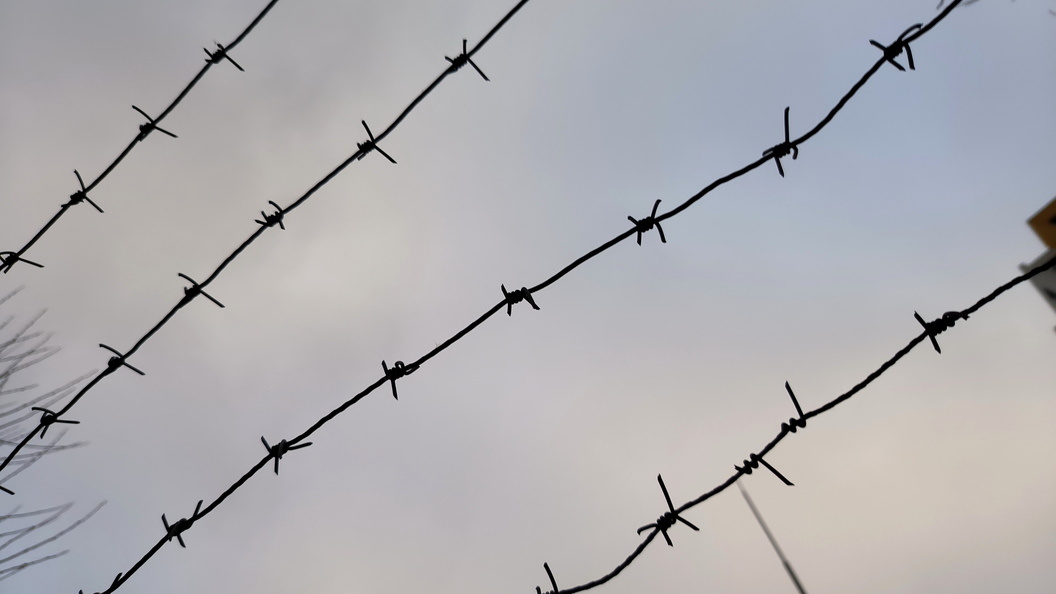    Фото: Maksim Konstantinov/Global Look Press