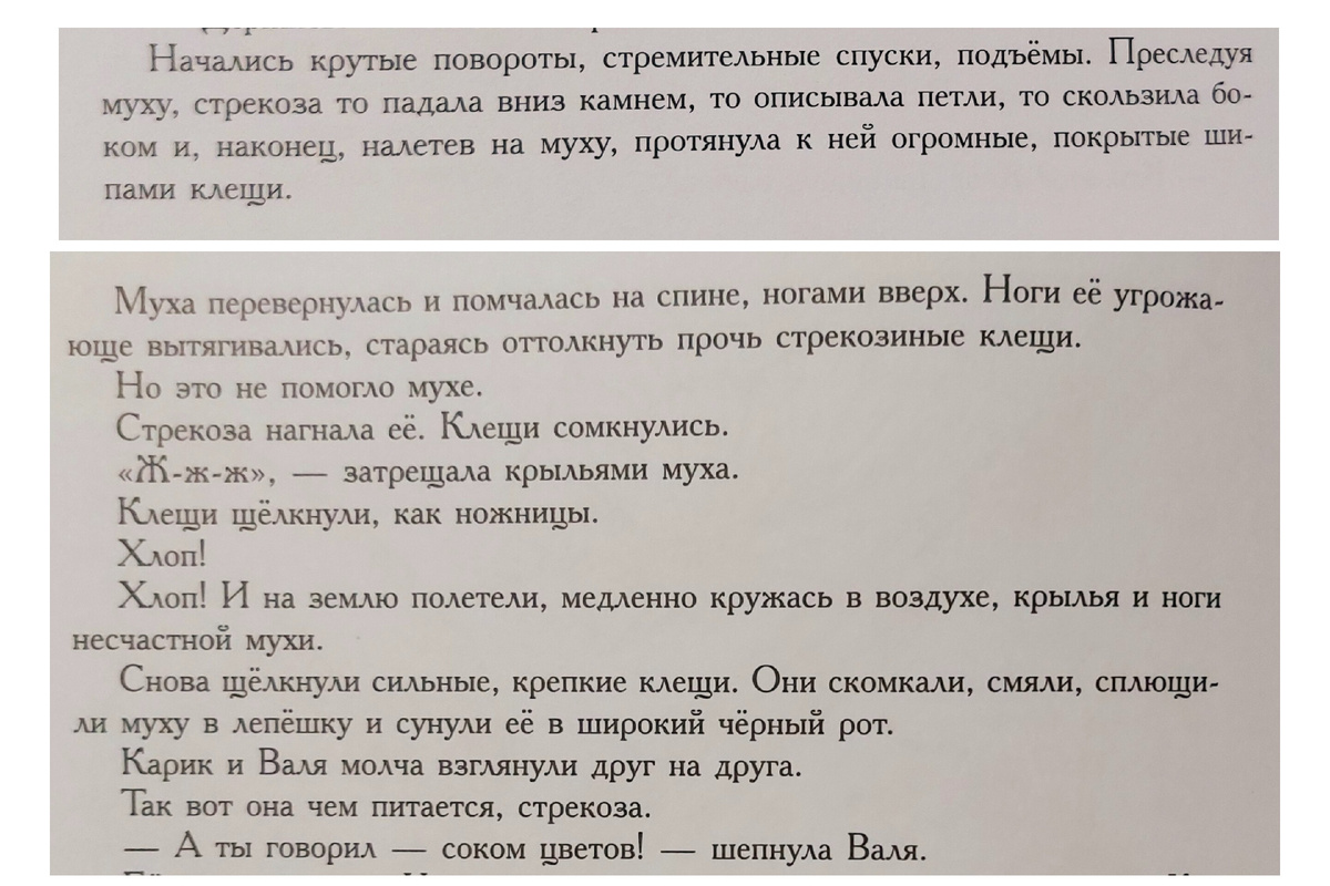 Ян Ларри "Необыкновенные приключения Карика и Вали"