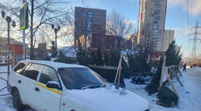    Фото пресс-центра мэрии города Новосибирска