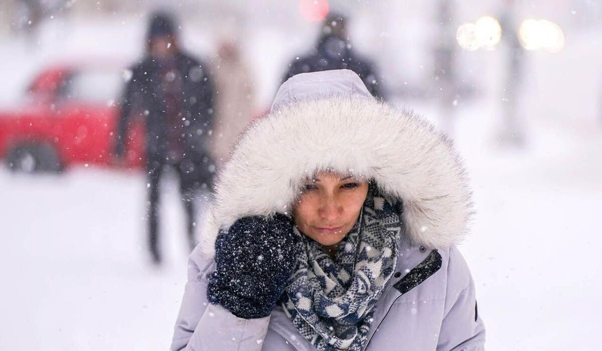     Метель. Источник: mos.ru Автор фото: Пресс-служба Мэра и Правительства Москвы