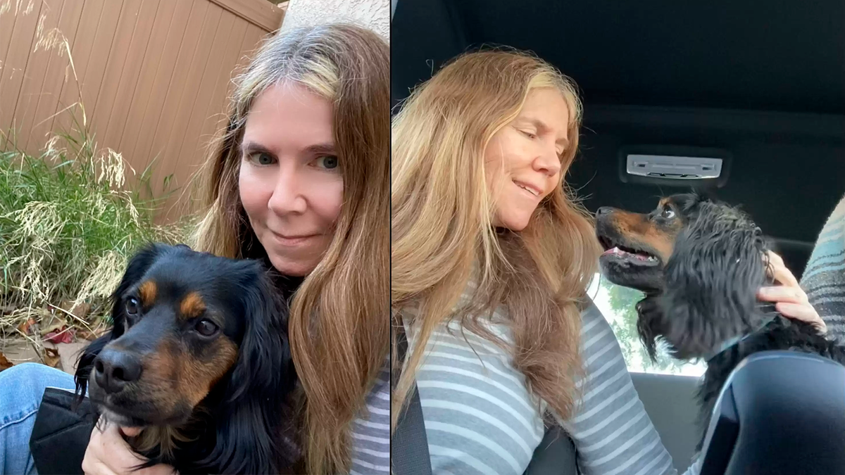    Ким спасла потерявшегося на улице щенка и вернула его хозяевам