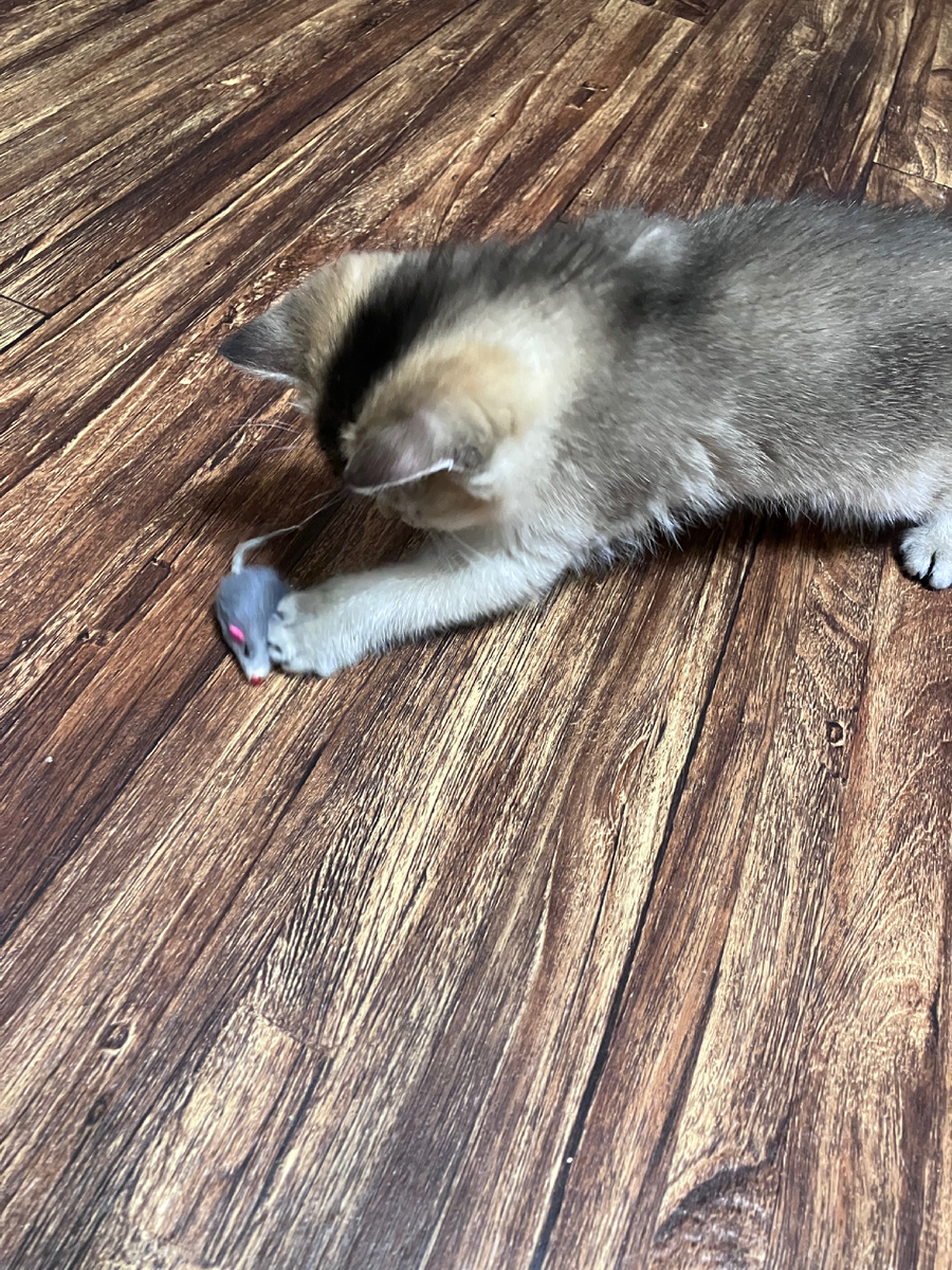 Охотничий инстинкт!