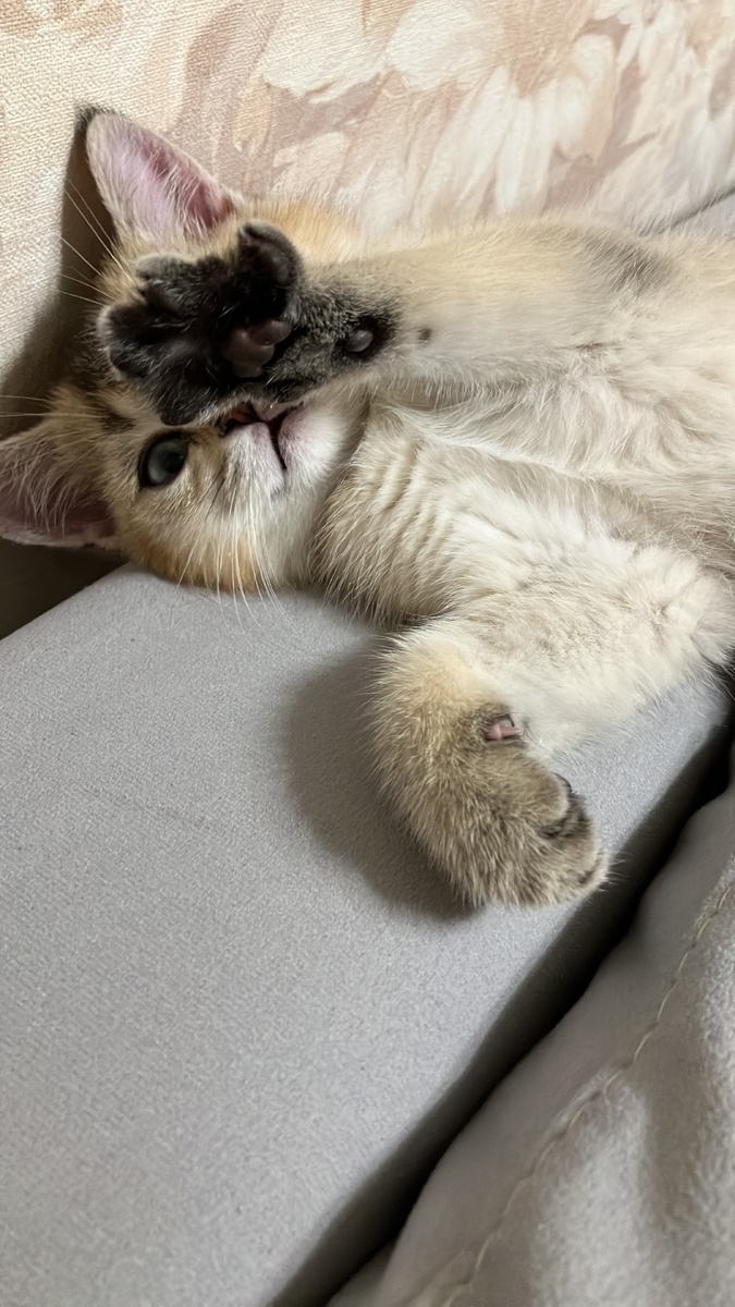 Всем привет!