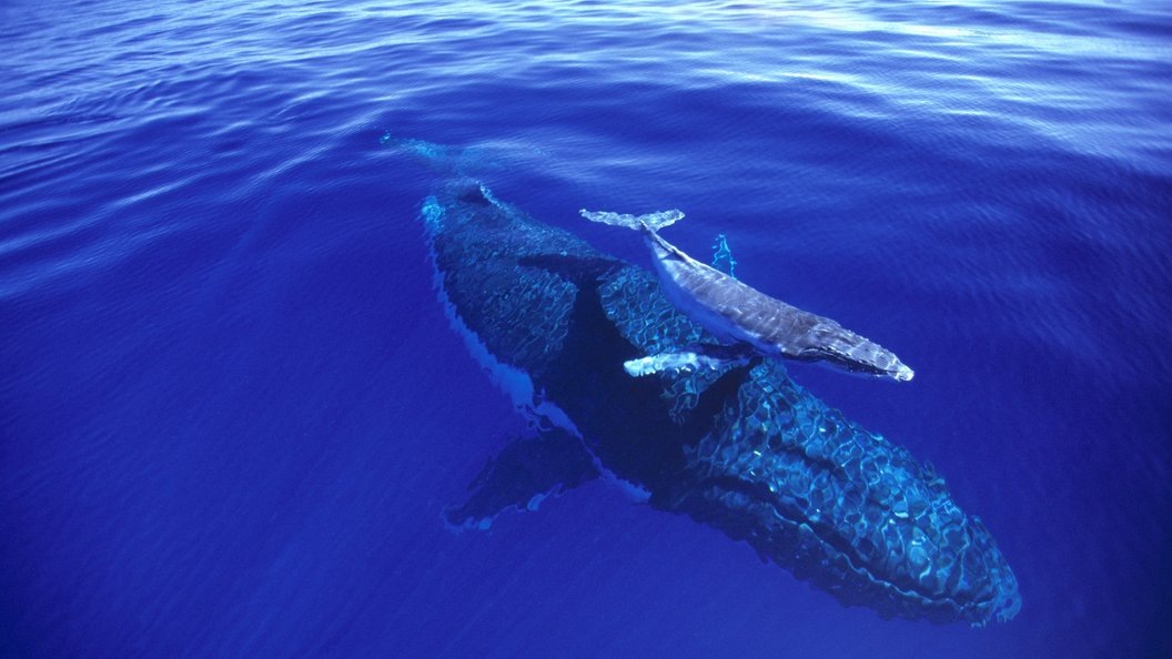    фото: Globallookpress