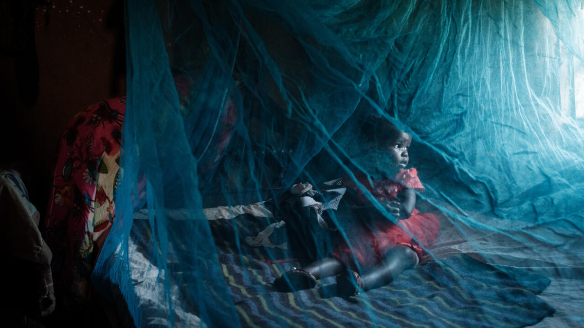 Кения одной из первых начала внедрять вакцины от малярии. Фото: Yasuyshi Chiba/AFP