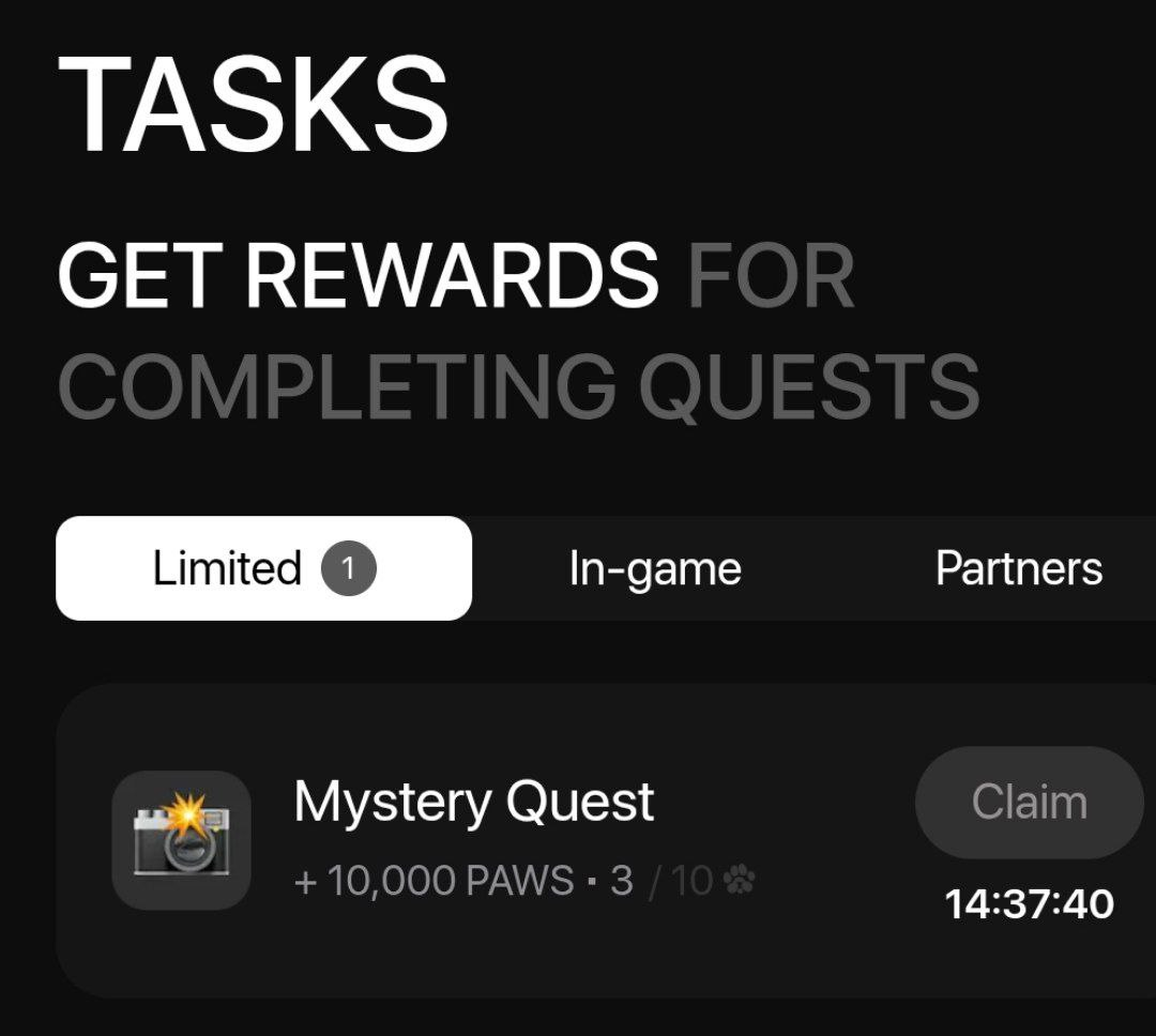 19.12 20.12 20 декабря мистери квест в павс