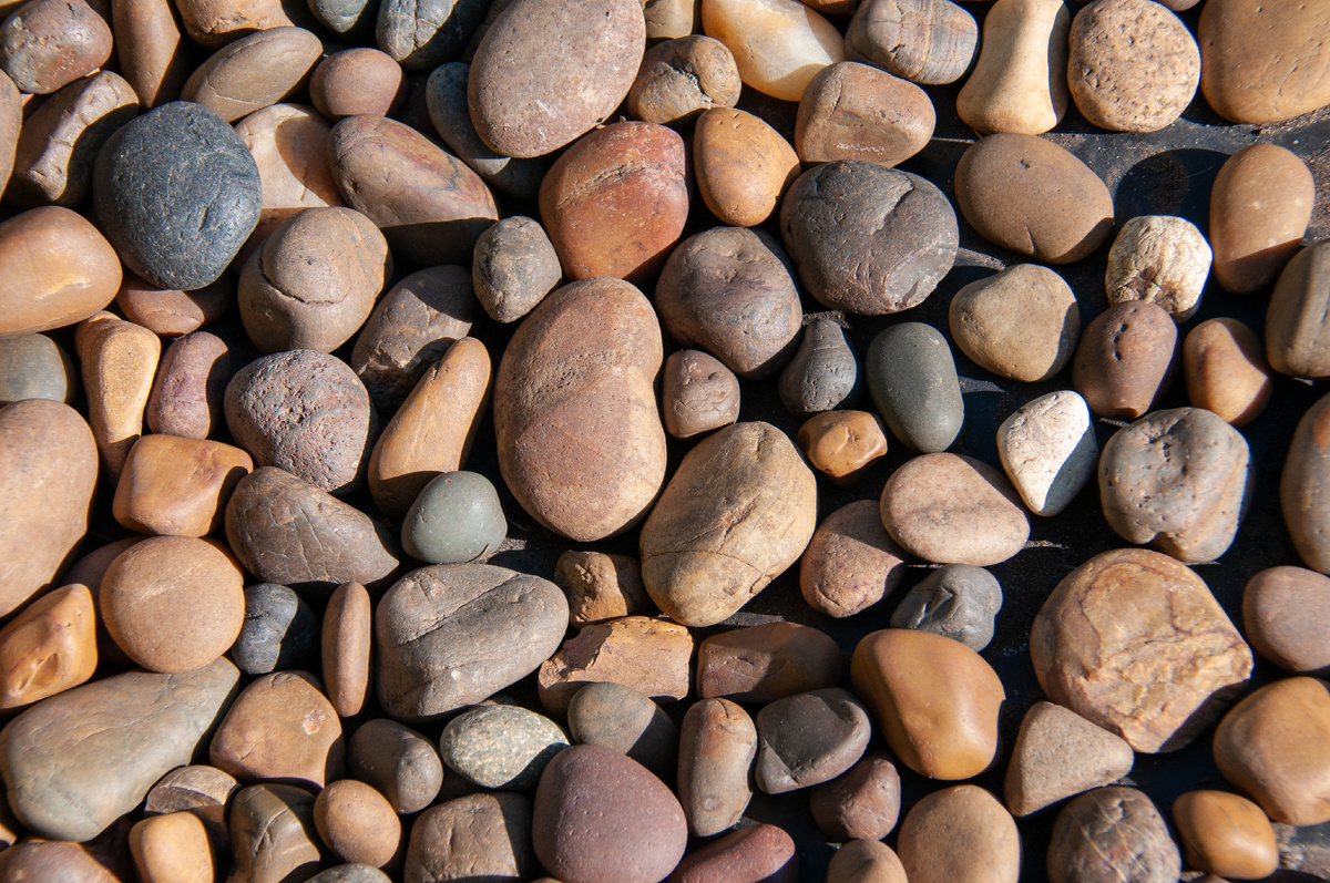 Svetlana Vozmilova/Global Look Press