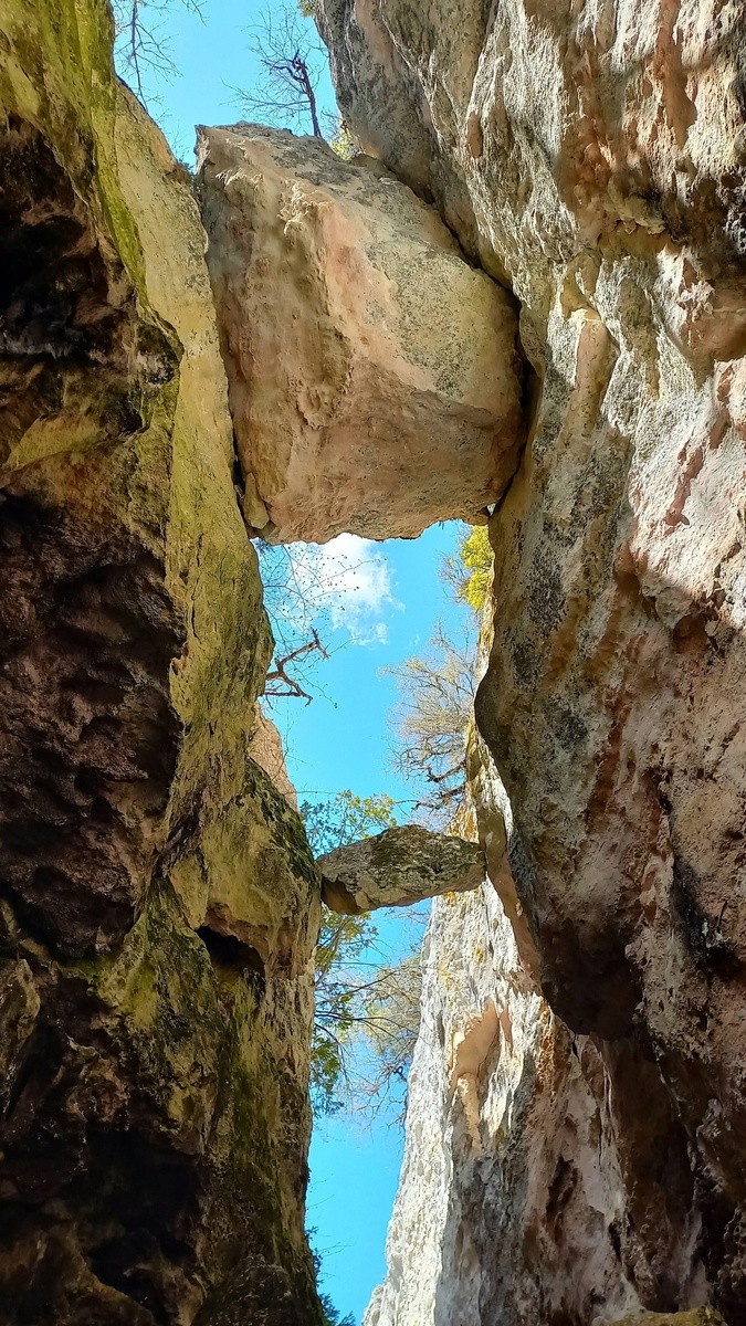 Фото: Михаил Мельник 