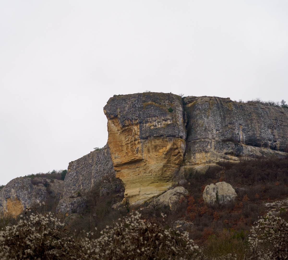 Фото: Михаил Мельник
