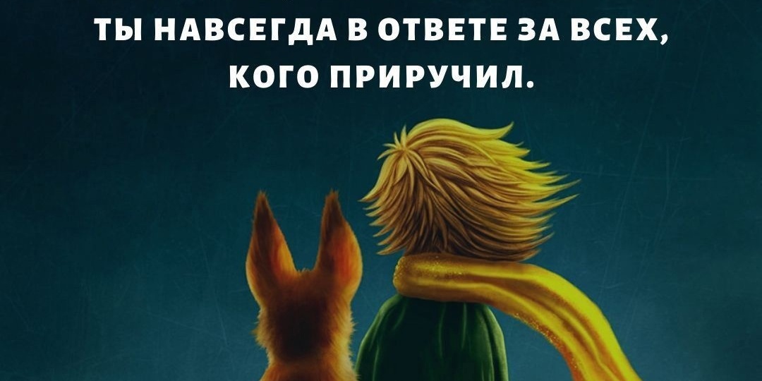О приюте Филимоша
