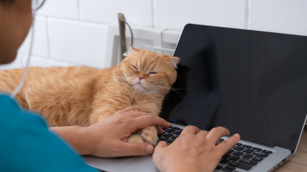    фото: Ingram Images/Globallookpress