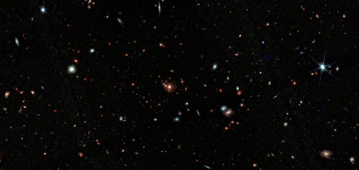 Протокластер Паутина, запечатлённый JWST. Это цветное составное изображение объединяет наблюдения JWST на длинах волн 1,2 мкм (синий), 1,8 мкм (зелёный) и 4,1 мкм (красный).    
 Источник: Shimakawa et al.  📷
