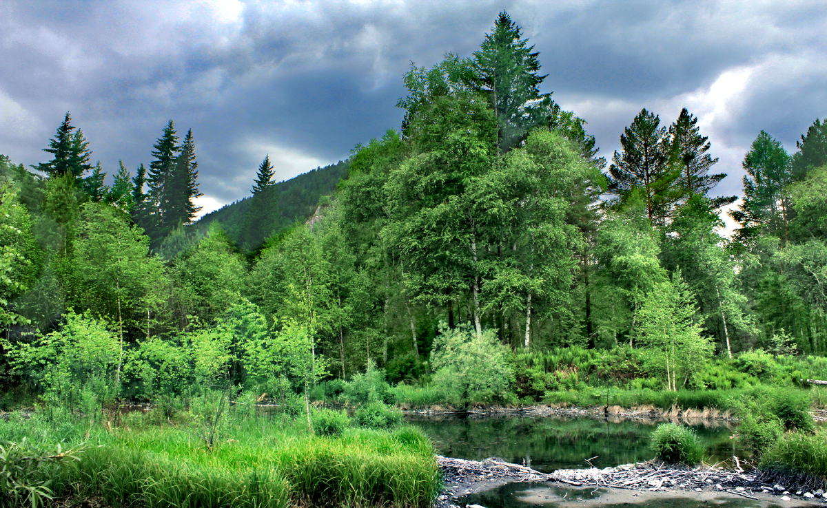 Фотография, стихотворение Василия Глуцкого