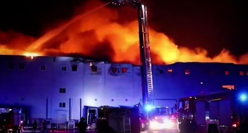    Стоп-кадр видео