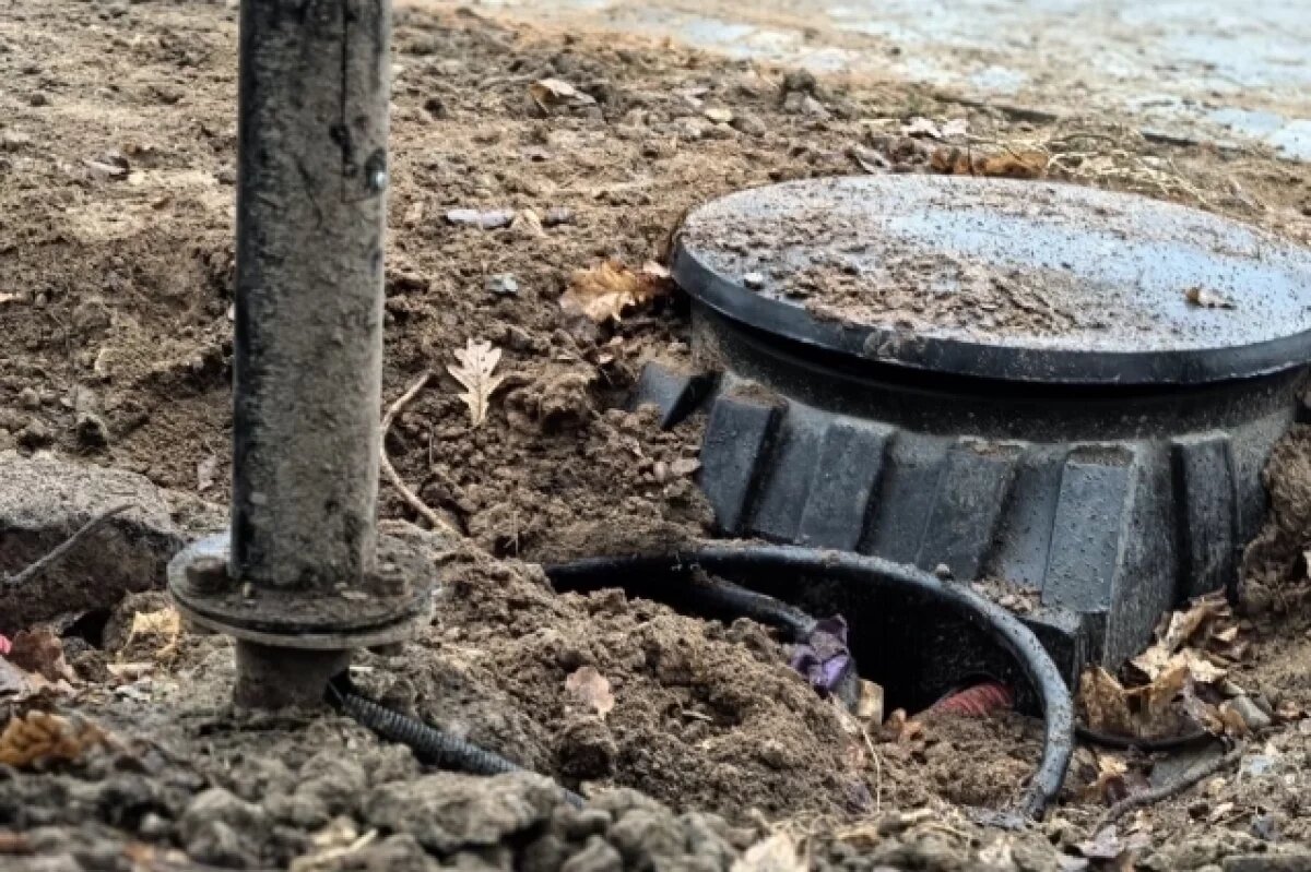    В Ярославле с бывшего подрядчика Павловской рощи взыскали почти 9 млн