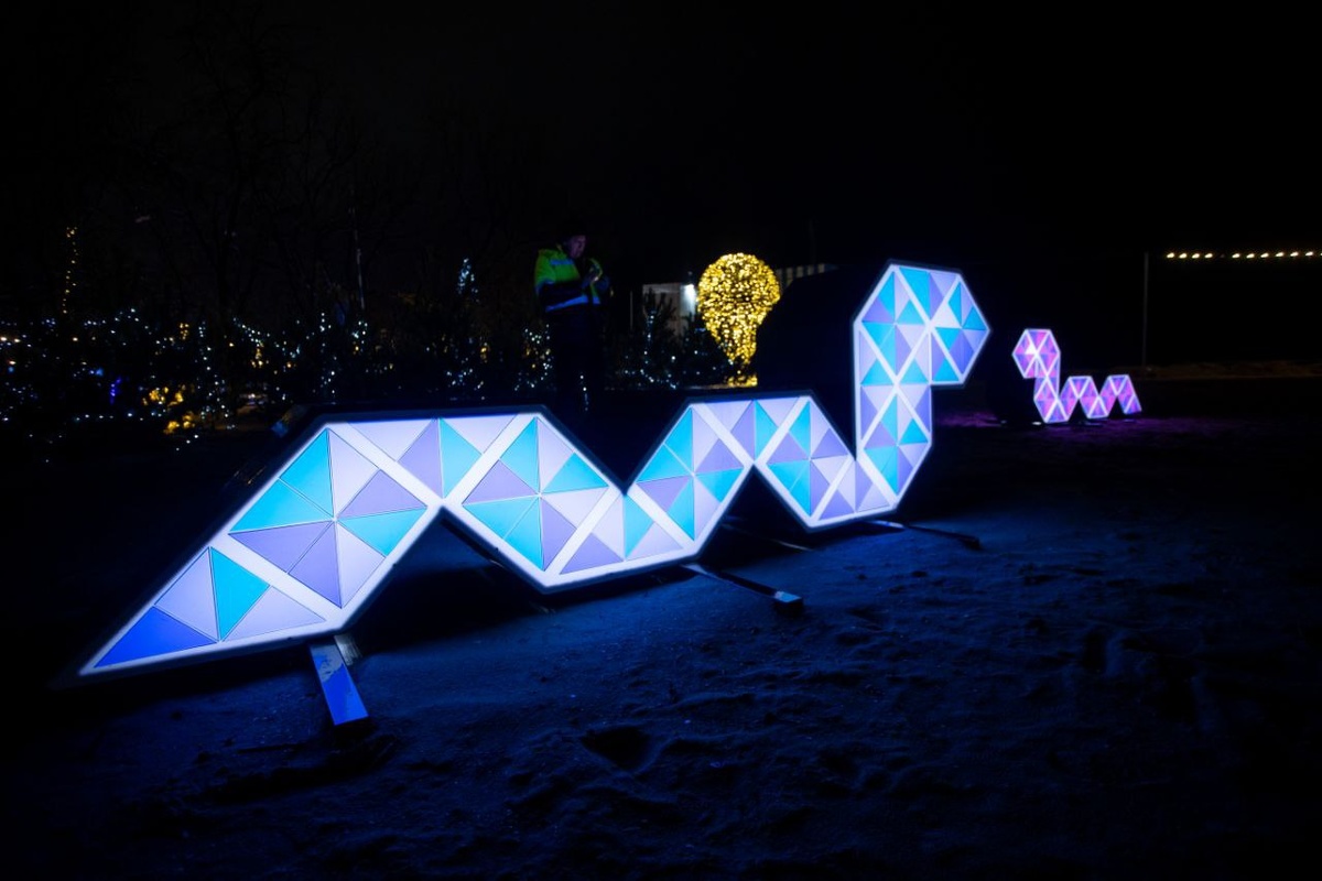 символ 2025 года