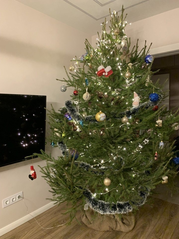     фото - МК в Туле