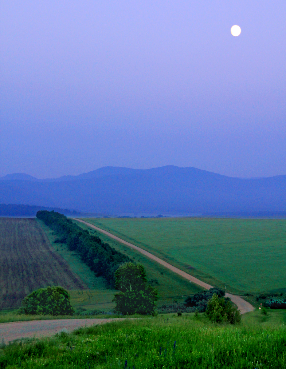 Фотография, стихотворение Василия Глуцкого