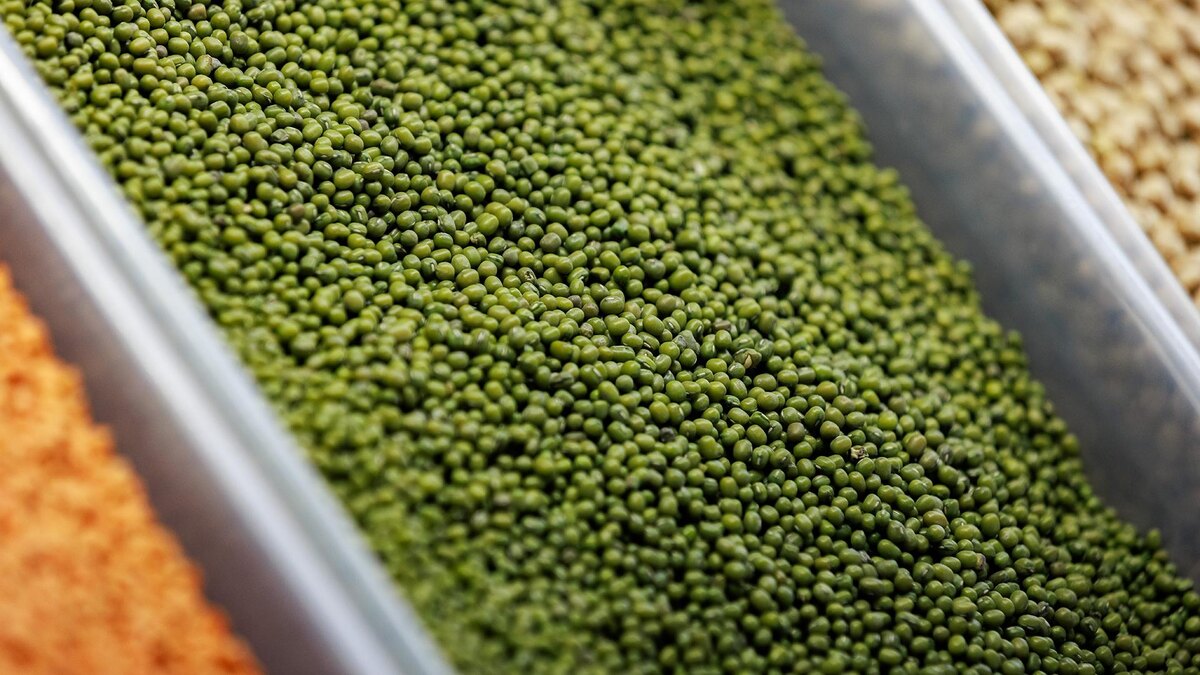    Фото: Sergey Elagin/globallookpress.com