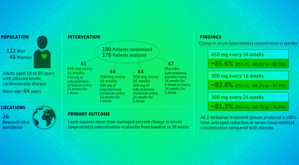   N + 1; Steven E. Nissen et al. / JAMA, 2024