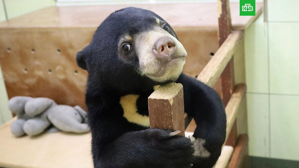    Фото: Пресс-служба Департамента культуры города Москвы