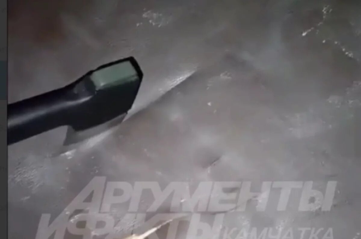    Неадекватный мужчина два года терроризирует жителей дома в Петропавловске