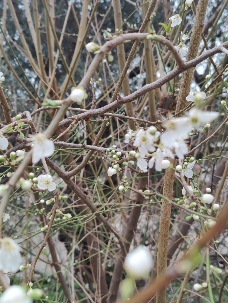 11 марта 2023, Старый Бар