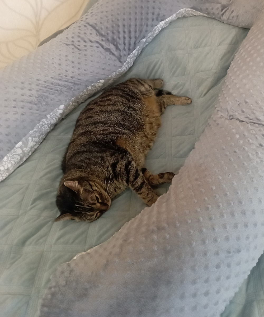 вот так лежу