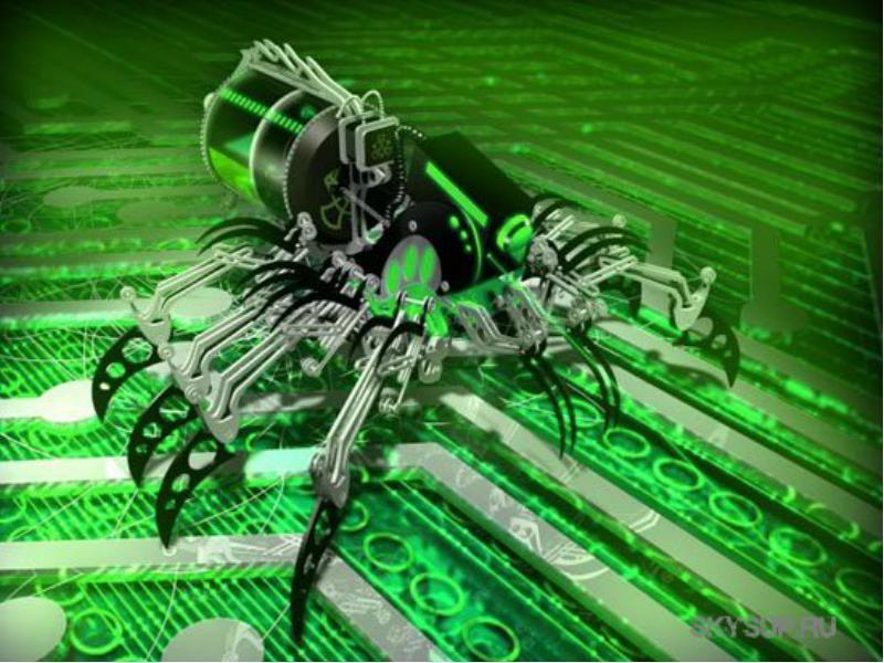 фото из открытых источников