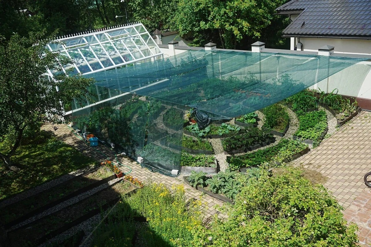 Постоянные грядки - круто! 