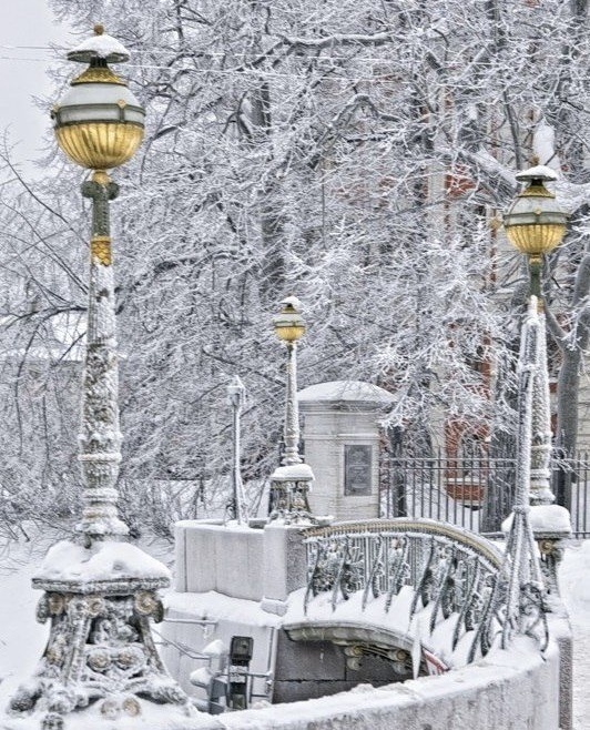 Фото из интернета 