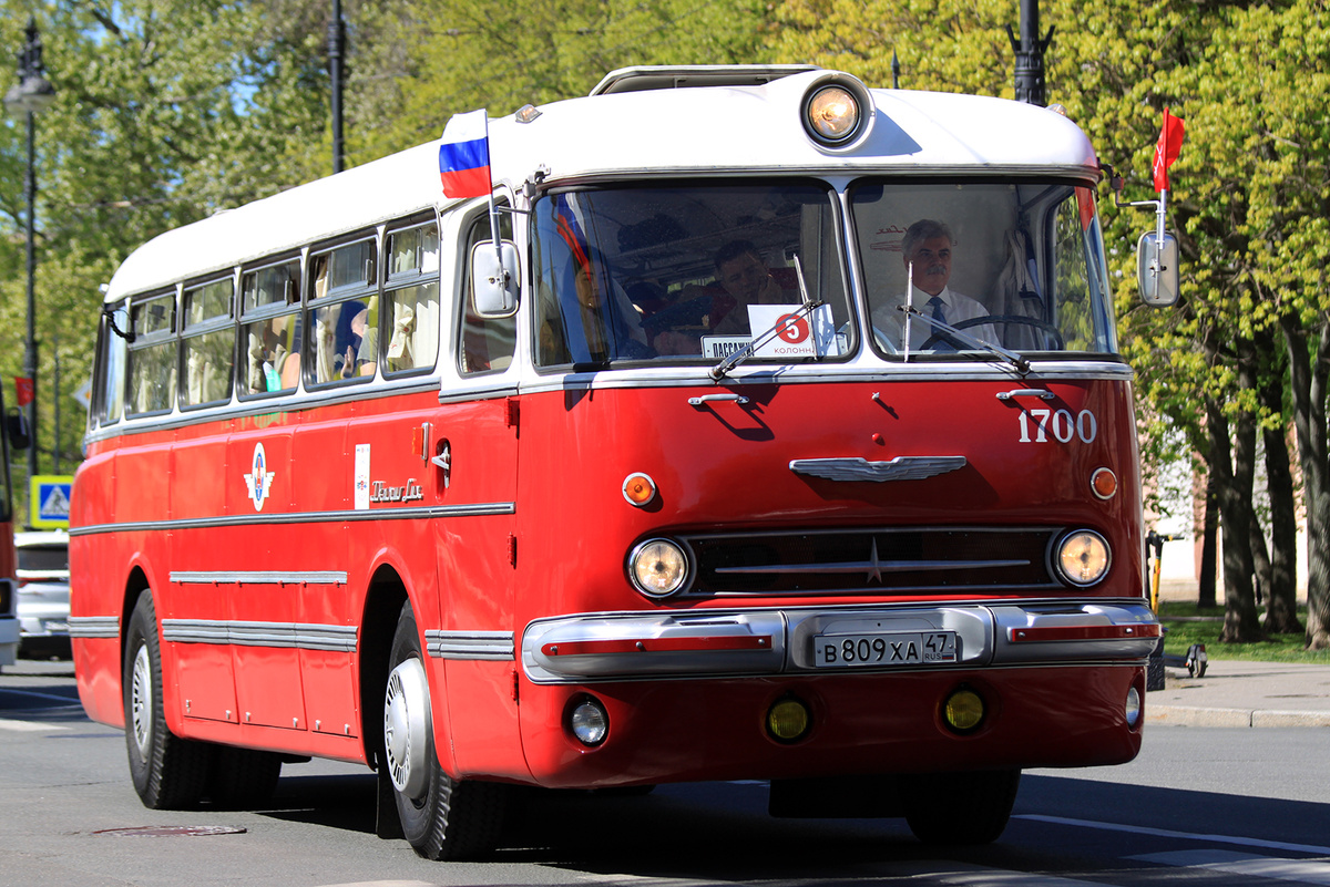 колонна Икарусов. Возглавляет Ikarus 55.14