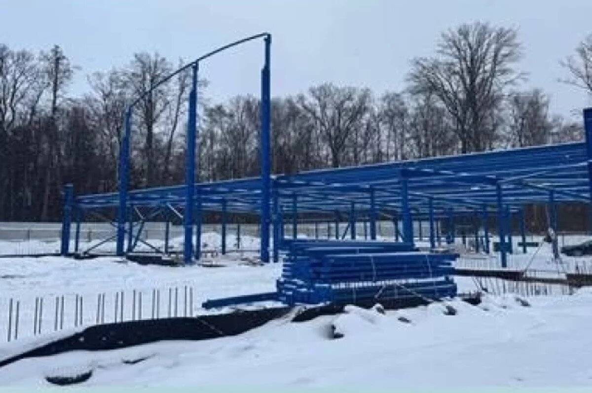    В региональном минспорта показали прогресс строительства льда в Обнинске