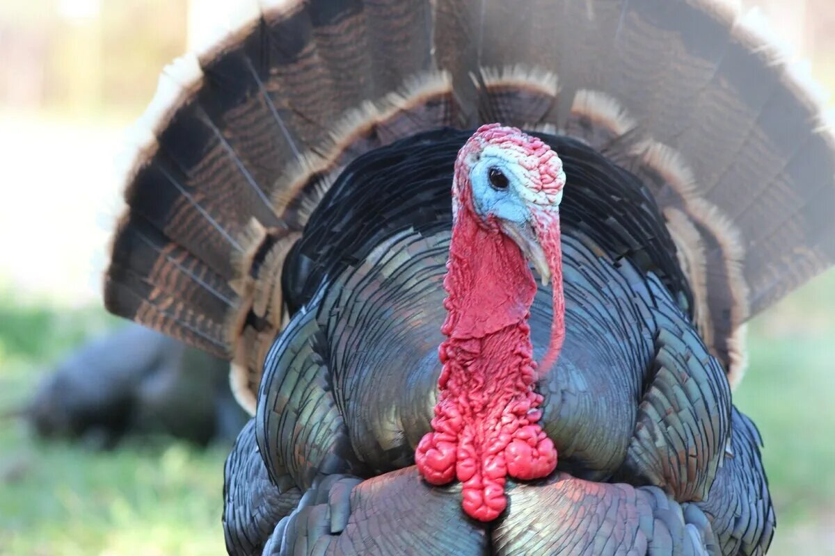 Источник: ecookie.ru