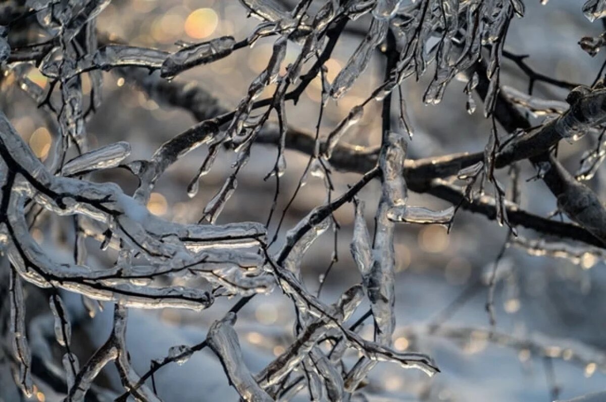    Группа риска.