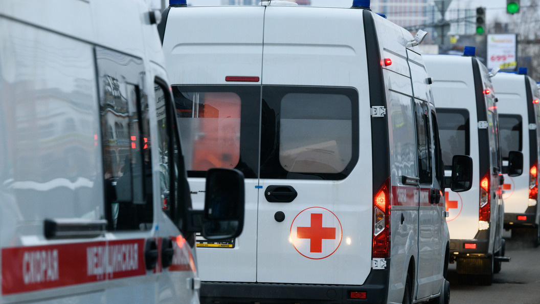    Ilya Moskovets/Globallookpress