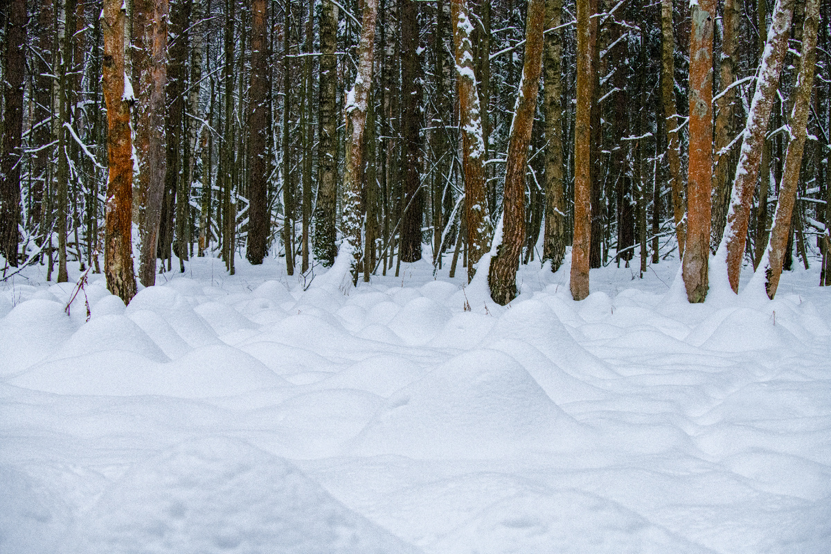 Гномы спрятались...
