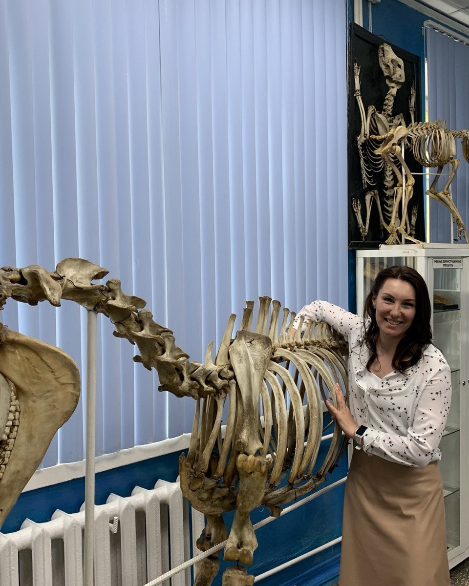   МГАВМиБ им. К.И. Скрябина