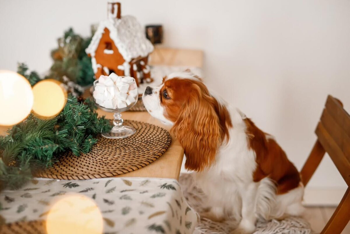     123RF/legion-media.ru