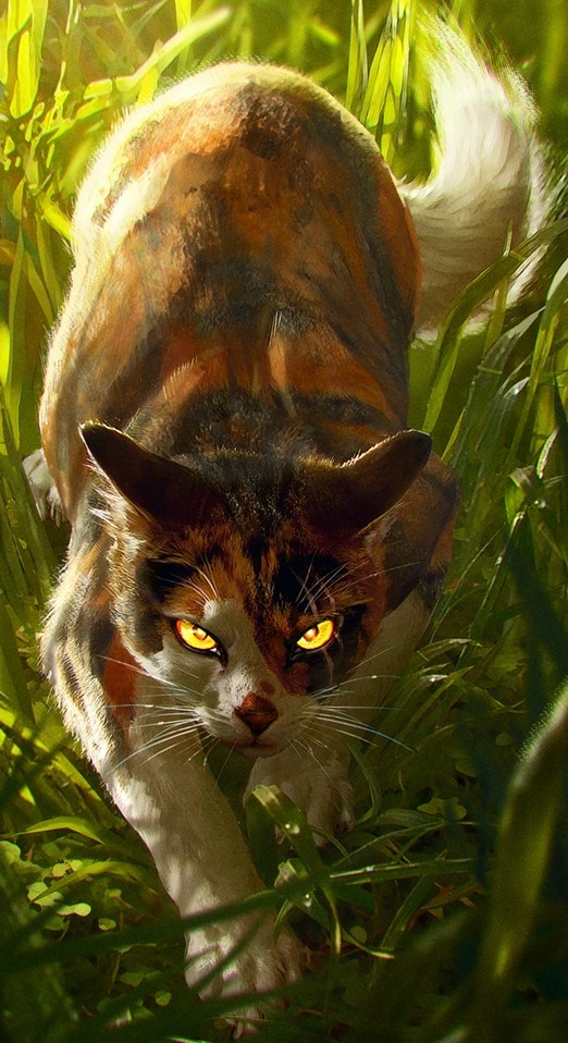 Кленовница 