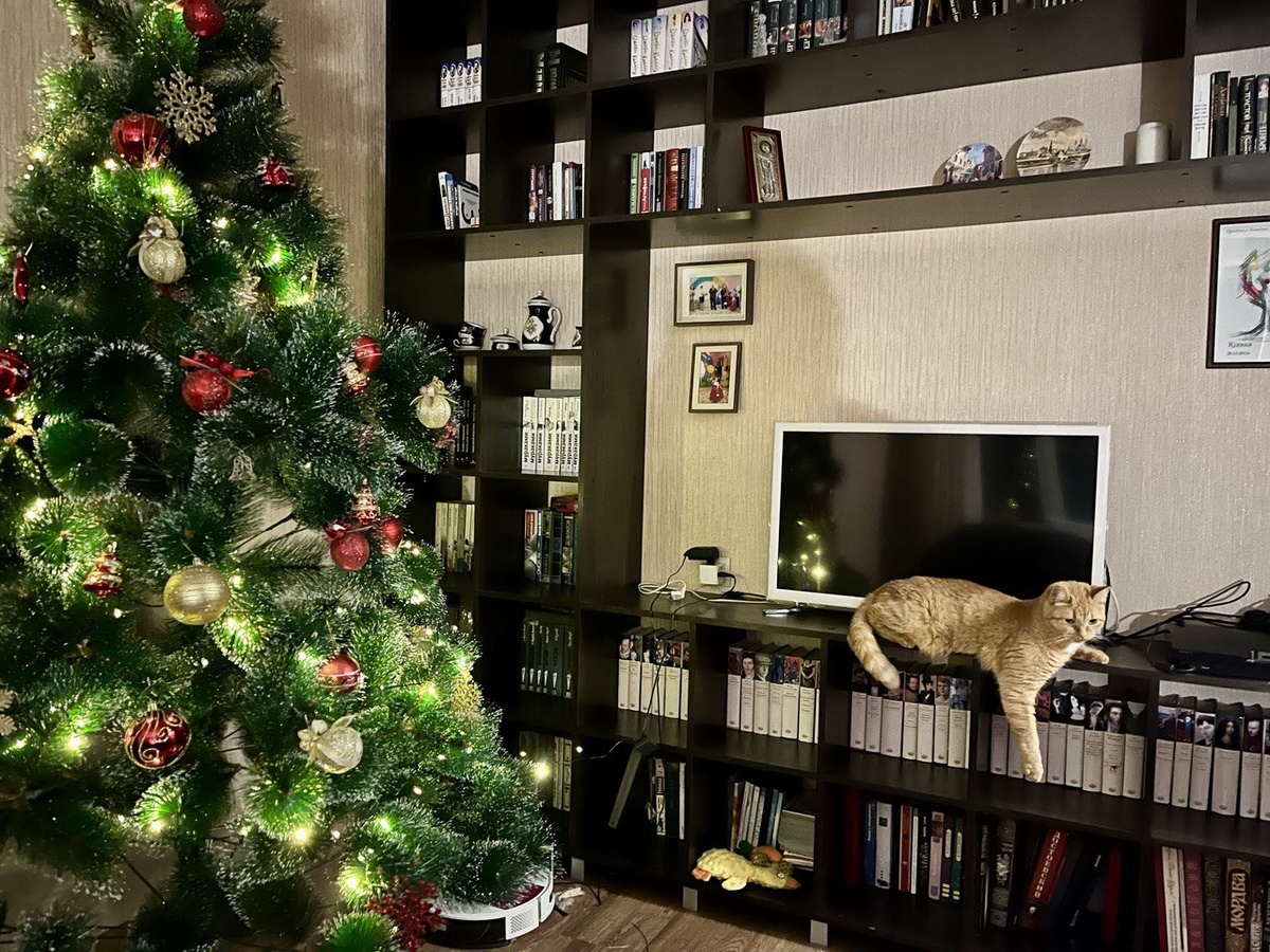 Капитан Рысик на боевом посту. Лежит отдыхает после игр.