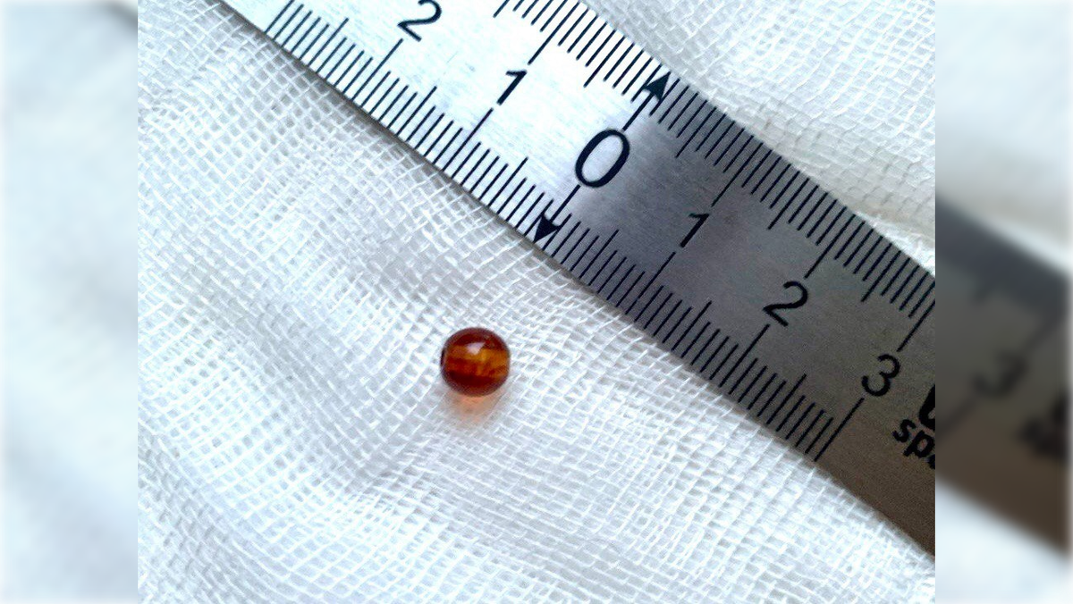 Фото: vk.com/id440283334